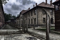 auschwitz-1-3699077__340-Resizer-800Q93