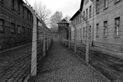 auschwitz-2709947__340-Resizer-800Q93