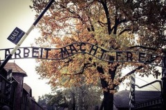 auschwitz-485689__340-Resizer-800Q93