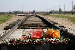 auschwitz-birkenau-540526__340-Resizer-800Q93