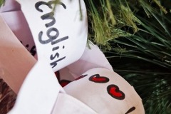 1673134232822-Resizer-800Q93