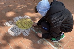 IMG_3172-Resizer-800Q93