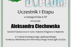 dyplom_instalogik_5_aleksandra_ciechowska-Resizer-800Q93
