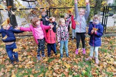 IMG_20201029_112416-Resizer-800