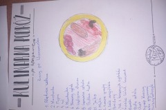 20240212_131014-Resizer-800Q93