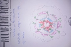 20240212_131023-Resizer-800Q93