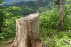 IMG_4925-rotated