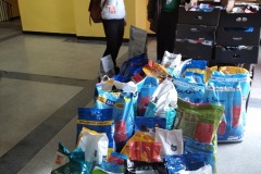 IMG_20211109_091401_1-Resizer-800Q93